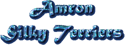 amron-logo.gif (21471 bytes)